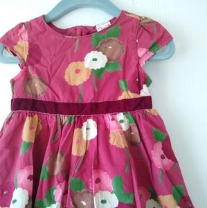 BABY GAP baby girl floral fit and flare dress